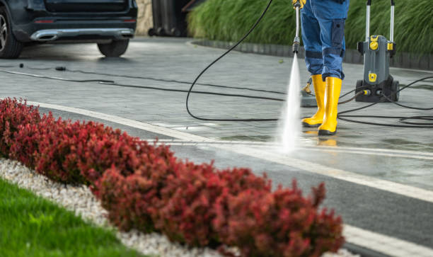 Best Driveway Pressure Washing  in Silver Ridge, NJ